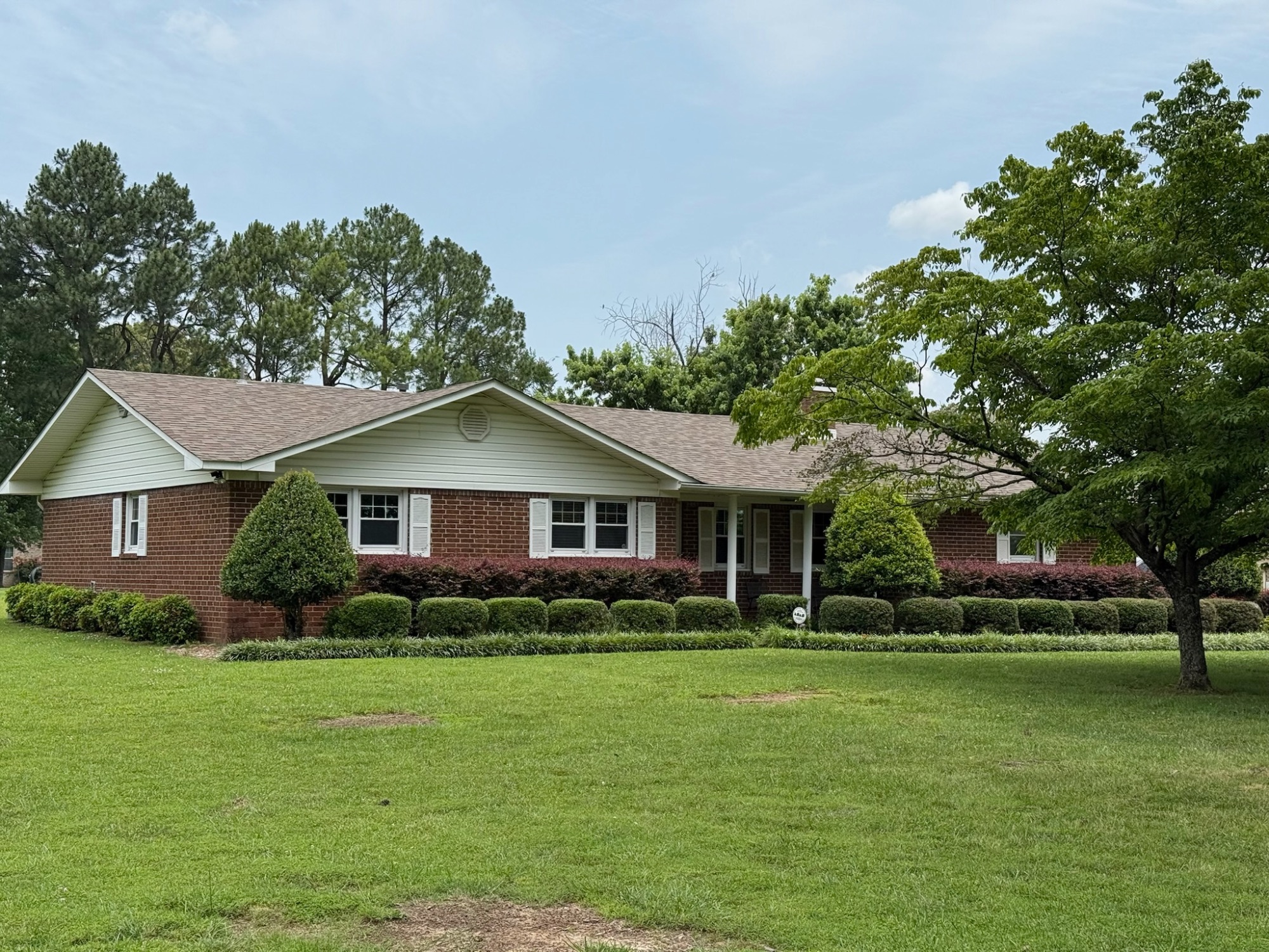 Lot image 17