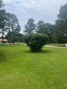Solid Brick Home on 1.29 +/- Acres, Screened Porch, Workshop, Tree-lined Drive & Outbuildings