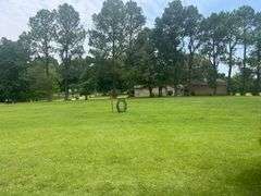 Solid Brick Home on 1.29 +/- Acres, Screened Porch, Workshop, Tree-lined Drive & Outbuildings
