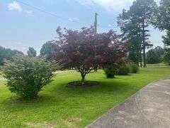 Solid Brick Home on 1.29 +/- Acres, Screened Porch, Workshop, Tree-lined Drive & Outbuildings