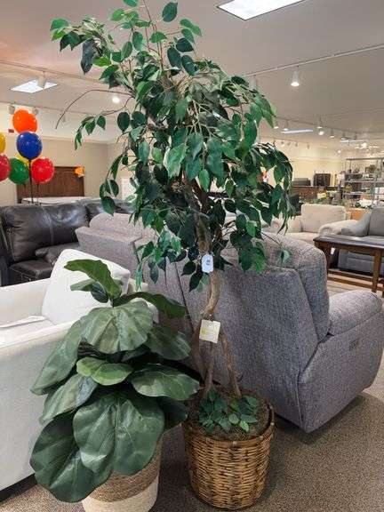 Artificial fig tree and large leaf tree image