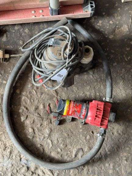 Utility pump, high flo 12 v pump image