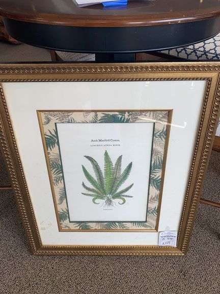 3 WALL PICTURES, PALM TREES BY WATER 37.5”w x 31.5”h, DATE NUT PALM PHOENISC CANARIENSIS 26”w x 30”h, ANDR. MATTHIOLI COMM. LONCHITIS 27.25”w x 32.5”h image