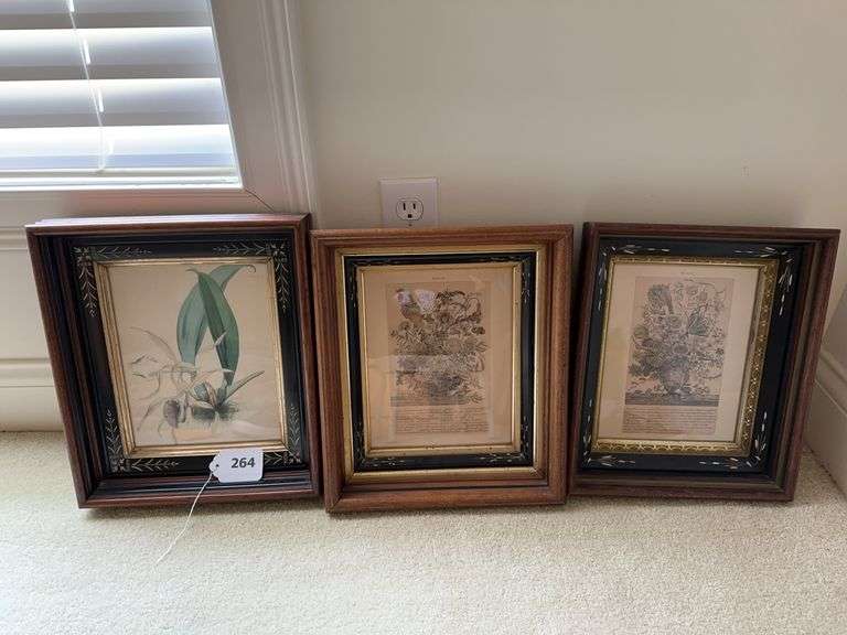 3- 14x 12 framed prints image