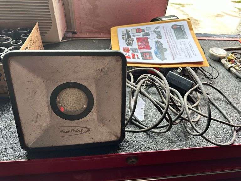 Blue Point Flood light image