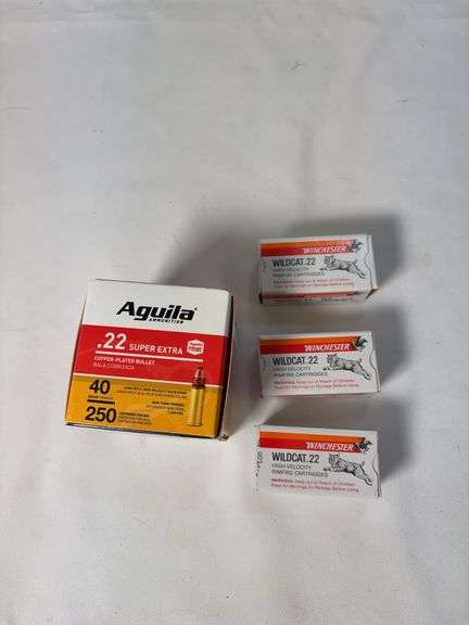 350 rounds of 22 LR image