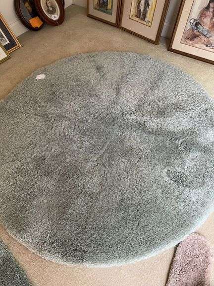 Various rugs 2- 5’ round rugs, 40” oval  53” oval image