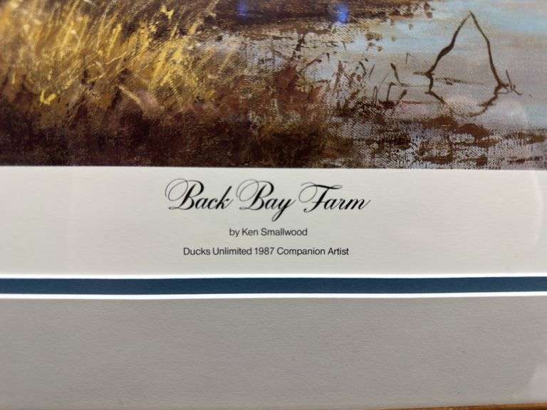 4 Framed Waterfowl Prints by Various Artists Photographed