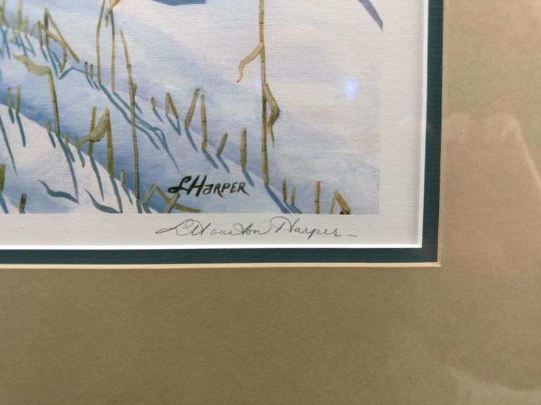 4 Framed Waterfowl Prints by Various Artists Photographed