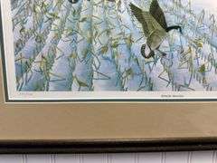 4 Framed Waterfowl Prints by Various Artists Photographed