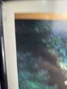 3 framed prints