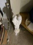 Resin statute