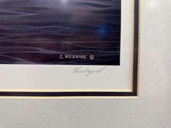 4 Framed Waterfowl Prints by Various Artists Photographed