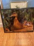 Assorted pictures and prints