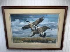 4 Framed Waterfowl Prints by Various Artists Photographed