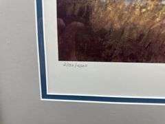 4 Framed Waterfowl Prints by Various Artists Photographed