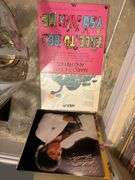Lot of record albums