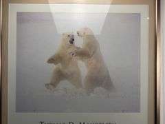 3 framed prints