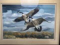 4 Framed Waterfowl Prints by Various Artists Photographed