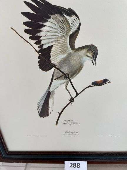 Ray Harm Mockingbird print