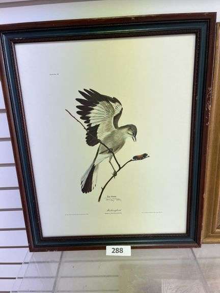 Ray Harm Mockingbird print