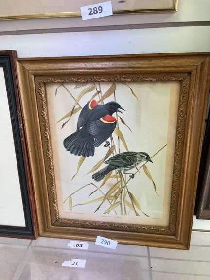 Antique framed red wing blackbird