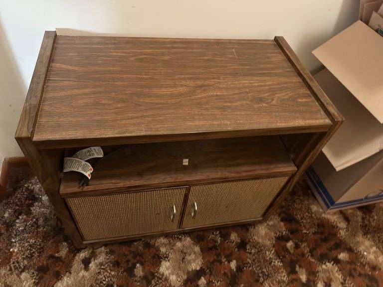 Media cabinet on rollers