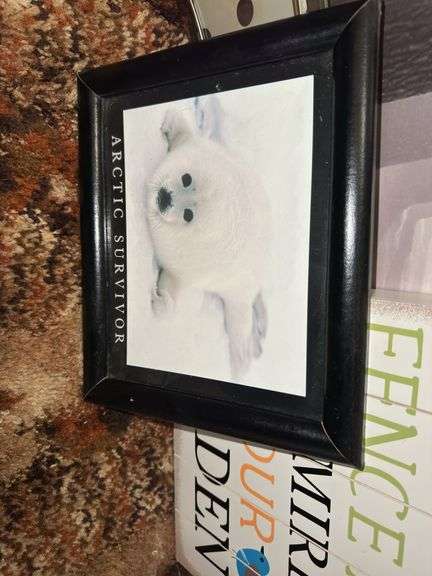 Lot of wall hangings and pictures