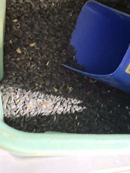 Martin house w/ 2 tubs of bird feed