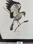 Ray Harm Mockingbird print