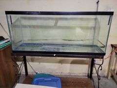 Fish Tank, Stand, Light Bulbs, Cabinet