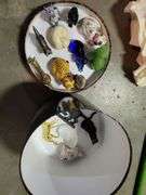 Cat Collection