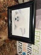 Lot of wall hangings and pictures