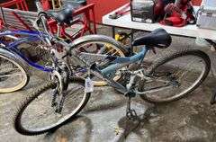Next 18 speed mountain bike