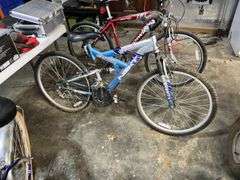 Next 18 speed mountain bike