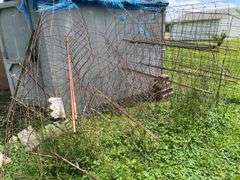 Approx 15 wire tomato cages