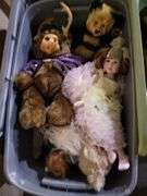 Doll Collection