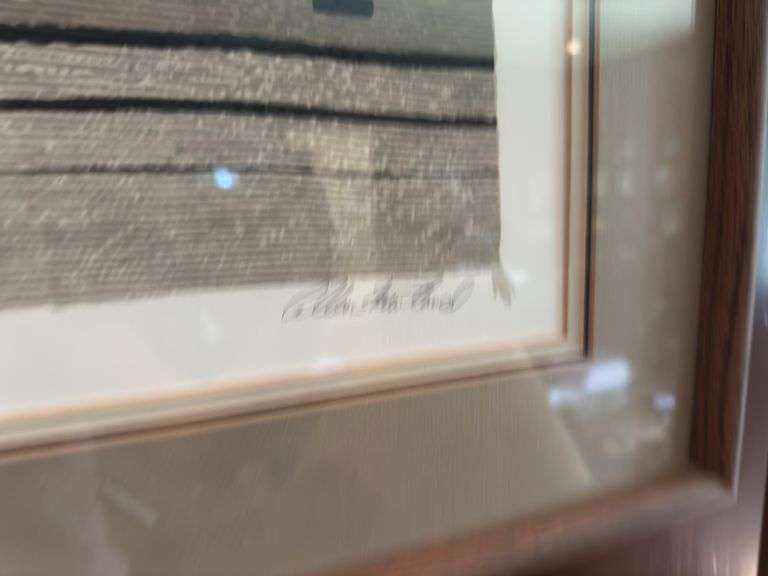 Framed signed and numbered  “Earth Rug” picture 41.5” x 28”