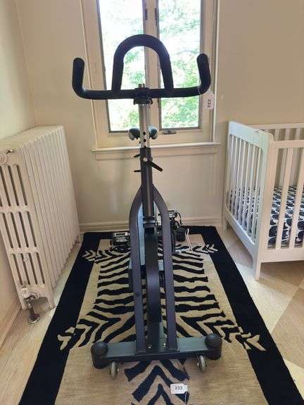 Sunny health &  Fitness Evolution Pro II magnetic indoor cycle