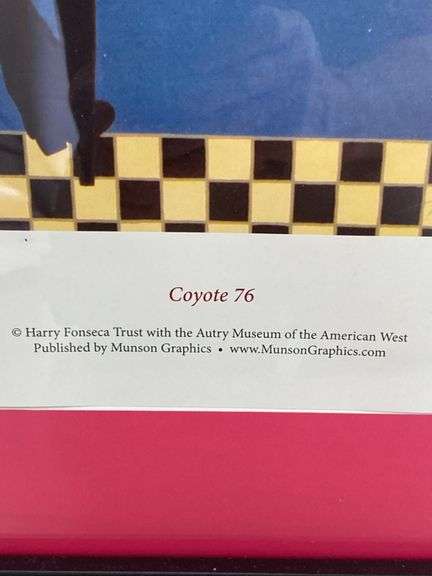 29” x 44” woven rug, matted and framed 20” x 17” picture “coyote 76” throw pillow, woven basket