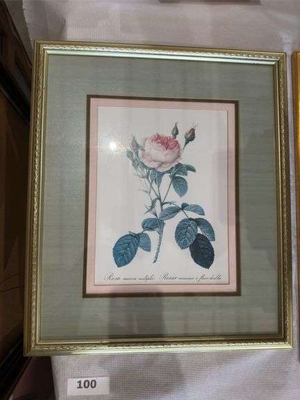 4 fruit and 6 rose framed prints