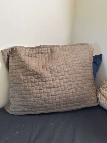 Ann Gish Large Throw pillows, 7