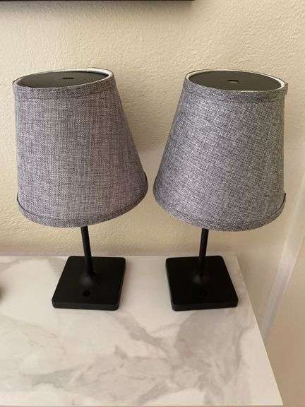 Pair of lamps cordless, recharges with USB cord 15.5” h