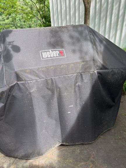 Weber grill & Weber charcoal grill