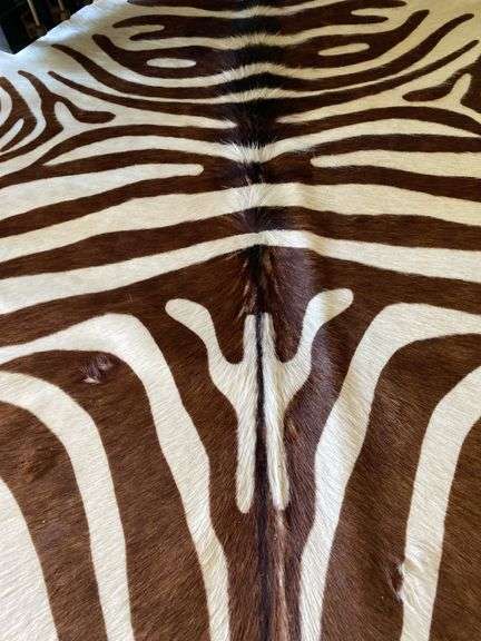 Zebra rug 80”L x 72”w genuine steer hide