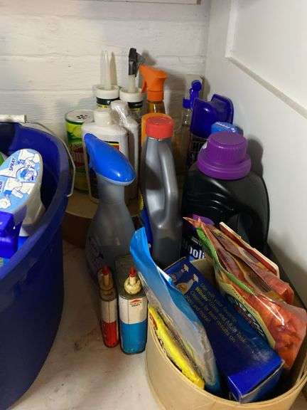 Cleaning supplies (in basement) image