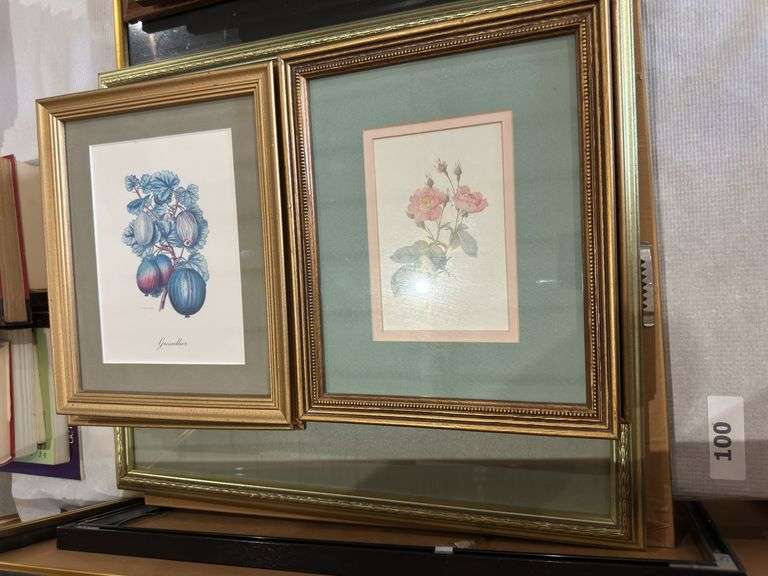4 fruit and 6 rose framed prints