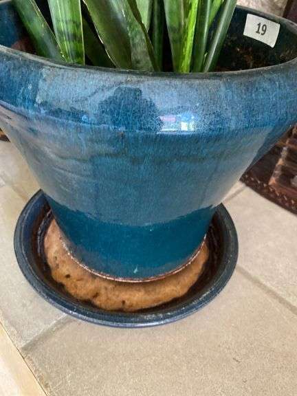Large blue ceramic planter with live plants in and wicker basket