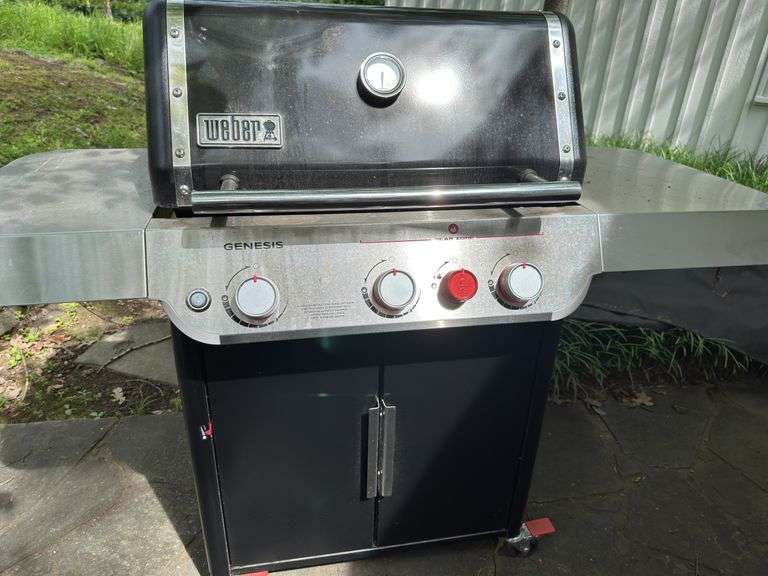Weber grill & Weber charcoal grill image