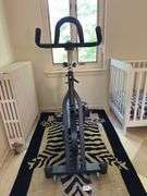 Sunny health &  Fitness Evolution Pro II magnetic indoor cycle